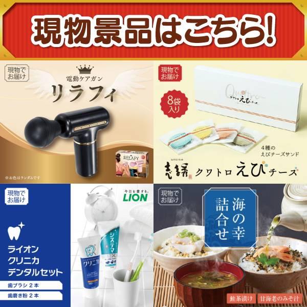 ゴルフコンペ景品10点セット【エアウィーヴ　01　シングル　マットレスパッド/電動ケアガン リラフィ 等】豪華A3パネル・目録・特典付き！送料無料の画像