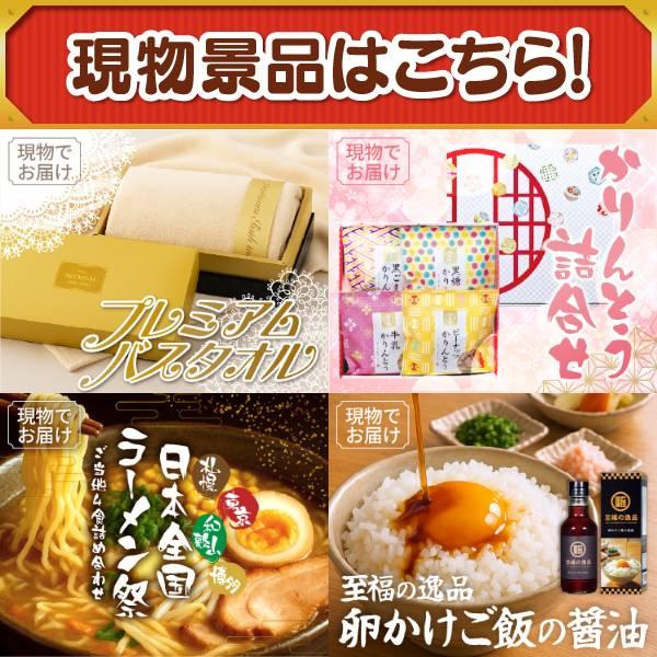 ゴルフコンペ景品10点セット【Dyson V12 Detect Slim Fluffy/TSUTSUMI 炊き込みご飯の素 等】豪華A3パネル・目録・特典付き！送料無料の画像