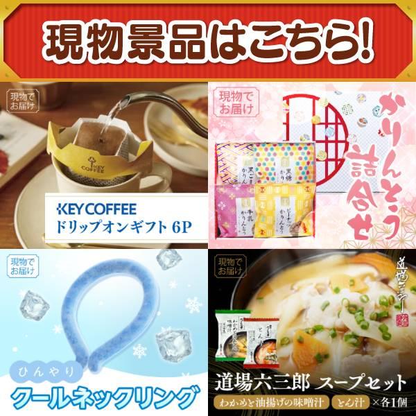 ゴルフコンペ景品10点セット【AQUOS 4K 50インチテレビ/サーモス真空断熱タンブラー300ml 等】豪華A3パネル・目録・特典付き！送料無料の画像