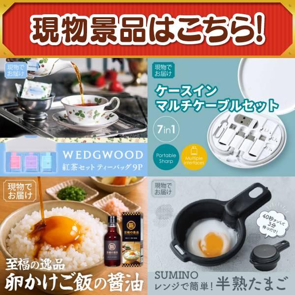 ゴルフコンペ景品21点セット【ＧＡＲＭＩＮ　腕時計型ＧＰＳゴルフナビ/★宝珠の逸品 等】豪華A3パネル・目録・特典付き！送料無料の画像