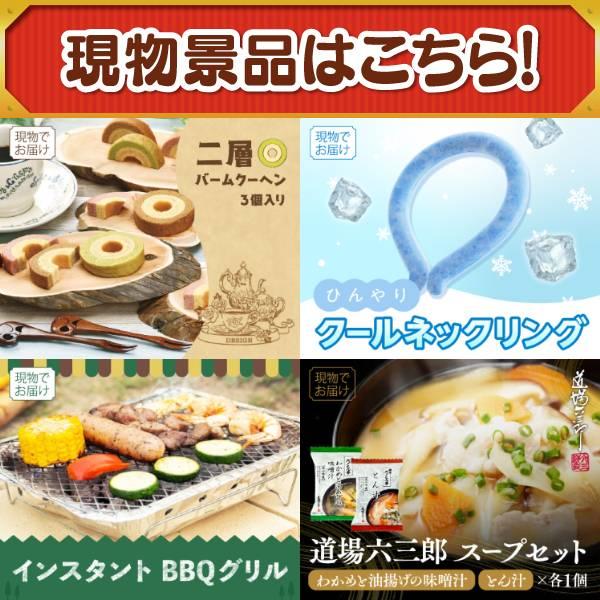 ゴルフコンペ景品21点セット【お米1年分(2kg×12回）/全自動コーヒーメーカー 等】豪華A3パネル・目録・特典付き！送料無料の画像