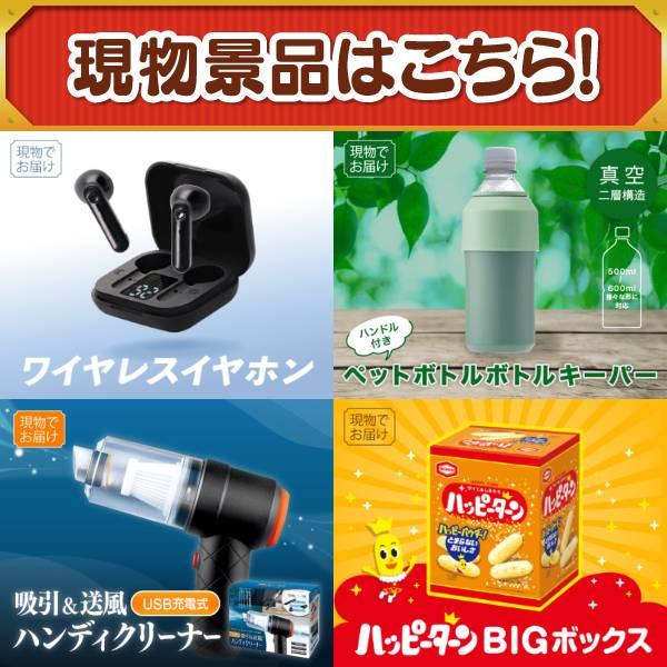 ゴルフコンペ景品25点セット【全国お取り寄せスイーツ1年分(毎月1回×12）/アイリスオーヤマ 電気圧力鍋 等】豪華A3パネル・目録・特典付き！送料無料の画像