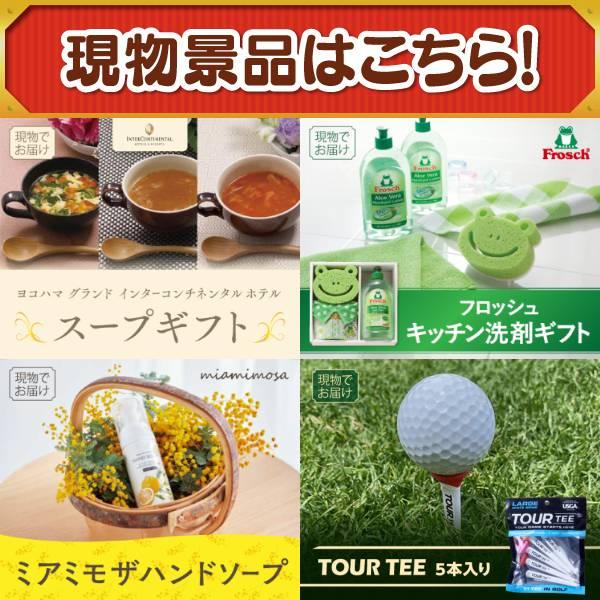 ゴルフコンペ景品22点セット【Aladdin　グリル&トースター/Weber BBQグリル 等】豪華A3パネル・目録・特典付き！送料無料の画像