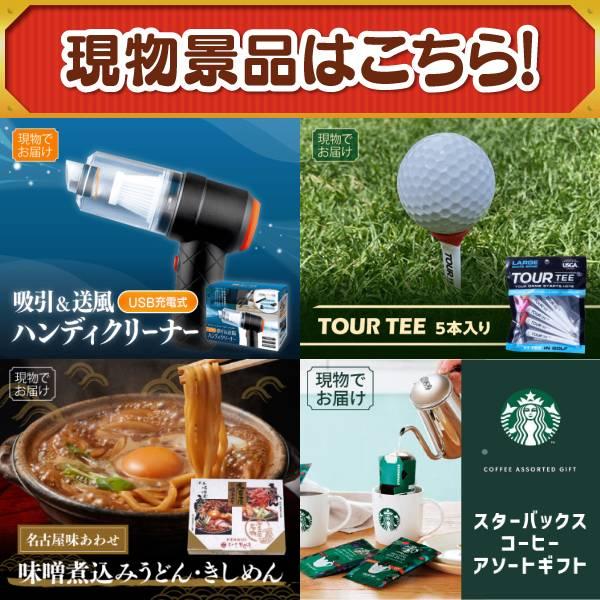 ゴルフコンペ景品24点セット【Apple Watch　SE/ディズニーファミリーチケット（大人2枚 小人1枚) 等】豪華A3パネル・目録・特典付き！送料無料の画像