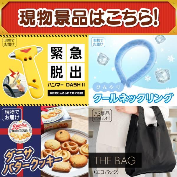 ゴルフコンペ景品24点セット【エアウィーヴ　01　シングル　マットレスパッド/ネスカフェ バリスタ 等】豪華A3パネル・目録・特典付き！送料無料の画像