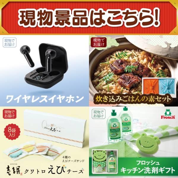 ゴルフコンペ景品14点セット【SV33 ダイソン マイクロオリジン/Apple Watch　SE 等】豪華A3パネル・目録・特典付き！送料無料の画像