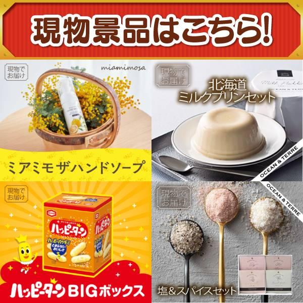 ゴルフコンペ景品14点セット【SV33 ダイソン マイクロオリジン/Apple Watch　SE 等】豪華A3パネル・目録・特典付き！送料無料の画像
