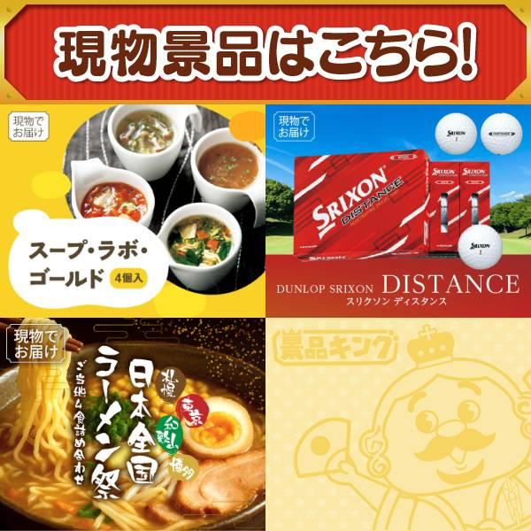 ゴルフコンペ景品14点セット【SV33 ダイソン マイクロオリジン/Apple Watch　SE 等】豪華A3パネル・目録・特典付き！送料無料の画像