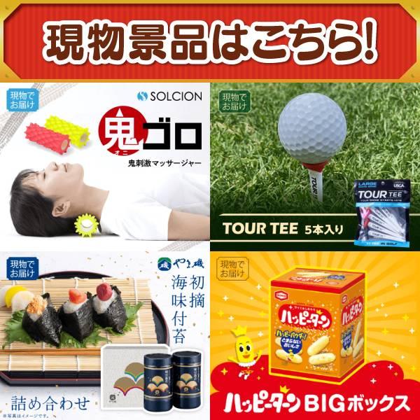 ゴルフコンペ景品15点セット【Dyson Purifier Hot+Cool/選べる一品景品【松阪牛】 等】豪華A3パネル・目録・特典付き！送料無料の画像
