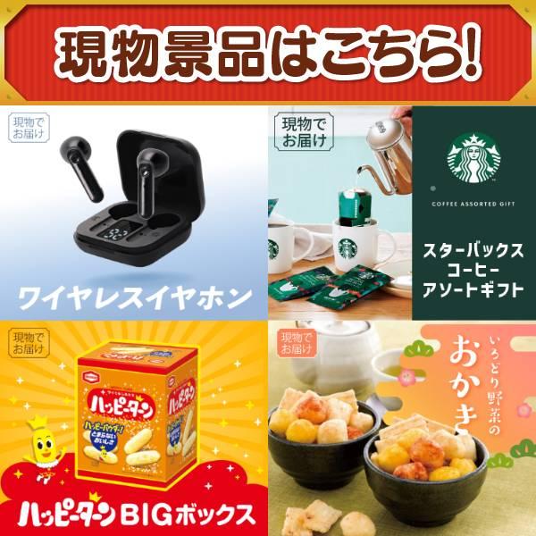 ゴルフコンペ景品19点セット【ディズニーファミリーチケット（大人2枚 中人2枚)/エアフライヤー「フライ２バディ」 等】豪華A3パネル・目録・特典付き！送料無料の画像