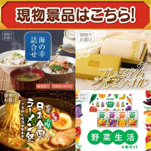 ゴルフコンペ景品19点セット【ディズニーファミリーチケット（大人2枚 中人2枚)/エアフライヤー「フライ２バディ」 等】豪華A3パネル・目録・特典付き！送料無料の画像