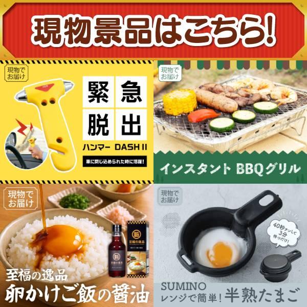 ゴルフコンペ景品19点セット【ディズニーファミリーチケット（大人2枚 中人2枚)/エアフライヤー「フライ２バディ」 等】豪華A3パネル・目録・特典付き！送料無料の画像