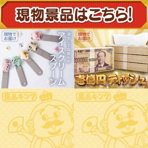 ゴルフコンペ景品19点セット【ディズニーファミリーチケット（大人2枚 中人2枚)/エアフライヤー「フライ２バディ」 等】豪華A3パネル・目録・特典付き！送料無料の画像