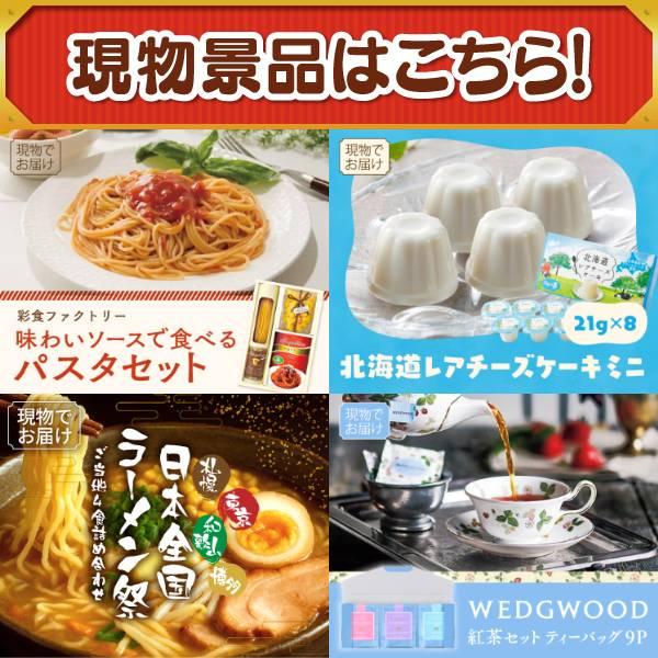 ゴルフコンペ景品19点セット【ディズニーペアチケット/シャーク 充電式 サイクロンスティッククリーナー 等】豪華A3パネル・目録・特典付き！送料無料の画像