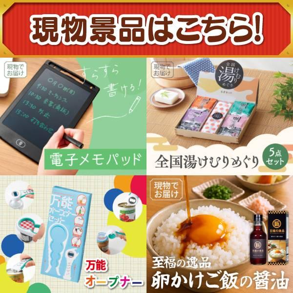 ゴルフコンペ景品19点セット【ディズニーペアチケット/シャーク 充電式 サイクロンスティッククリーナー 等】豪華A3パネル・目録・特典付き！送料無料の画像