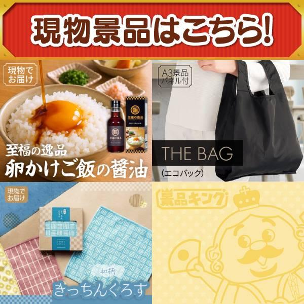 ゴルフコンペ景品20点セット【SV33 ダイソン マイクロオリジン/ラ・ルーナ エアーアイマスク 等】豪華A3パネル・目録・特典付き！送料無料の画像