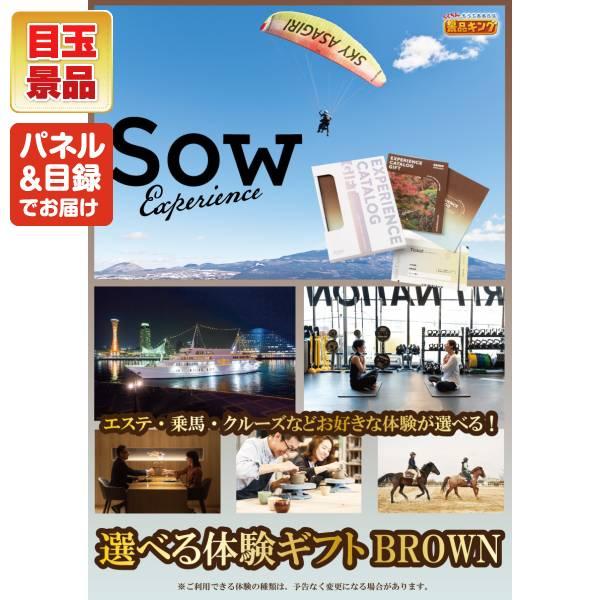ゴルフコンペ景品17点セット【選べる体験ギフトBROWN/リズム マグスピーカーデュオ 等】豪華A3パネル・目録・特典付き！送料無料の画像