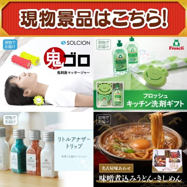 ゴルフコンペ景品20点セット【Nintendo Switch 2/ReFaシャワーヘッド 等】豪華A3パネル・目録・特典付き！送料無料の画像