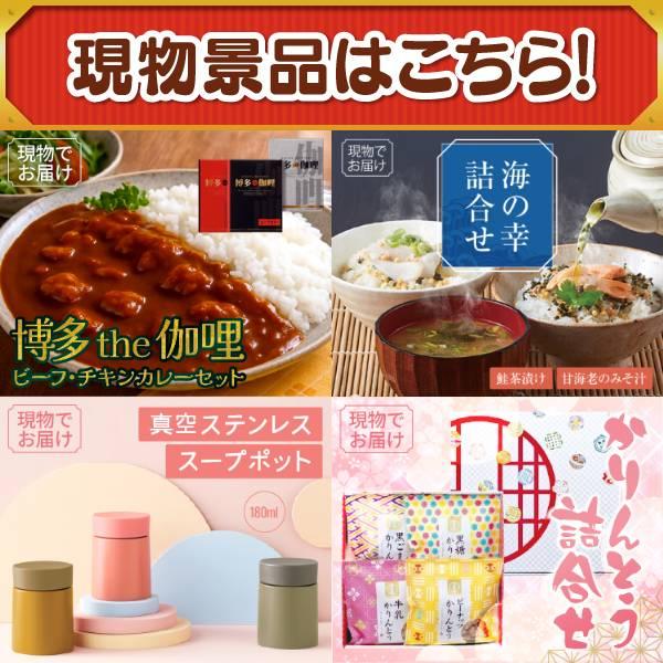 ゴルフコンペ景品20点セット【Nintendo Switch 2/ReFaシャワーヘッド 等】豪華A3パネル・目録・特典付き！送料無料の画像