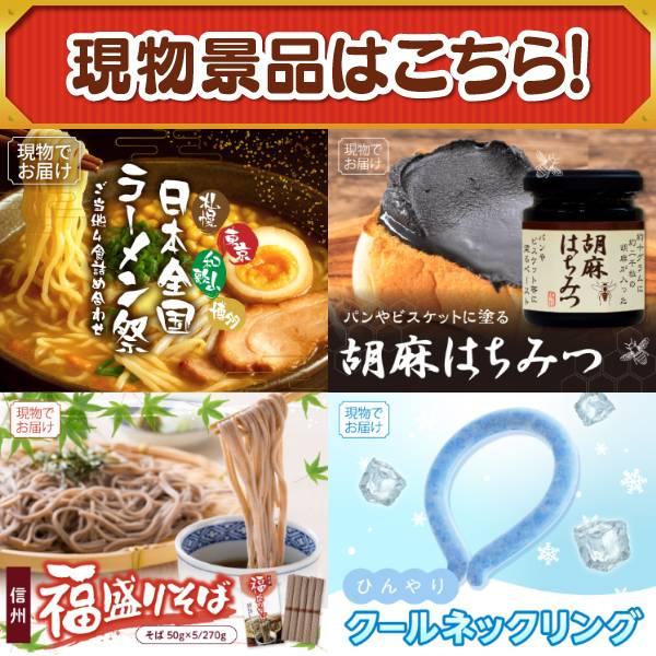 ゴルフコンペ景品20点セット【Dyson ヘアドライヤー/★宝珠の逸品 等】豪華A3パネル・目録・特典付き！送料無料の画像