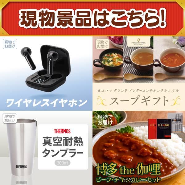 ゴルフコンペ景品19点セット【Apple Watch Series 11/サーキュレーターアイ DC JET 等】豪華A3パネル・目録・特典付き！送料無料の画像