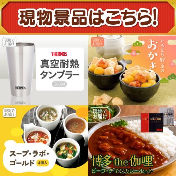 ゴルフコンペ景品18点セット【BALMUDA オーブントースター/BAKUNE Dry Men's / Women's 等】豪華A3パネル・目録・特典付き！送料無料の画像