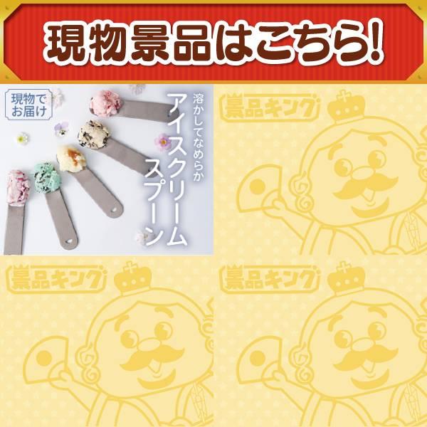 ゴルフコンペ景品18点セット【BALMUDA オーブントースター/BAKUNE Dry Men's / Women's 等】豪華A3パネル・目録・特典付き！送料無料の画像