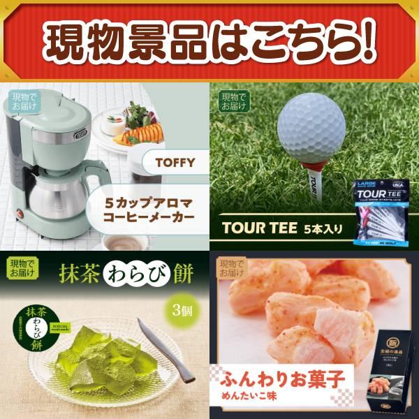 ゴルフコンペ景品10点セット【旬の有機野菜1年分(毎月1回×12）/エアフライヤー「フライ２バディ」 等】豪華A3パネル・目録・特典付き！送料無料の画像