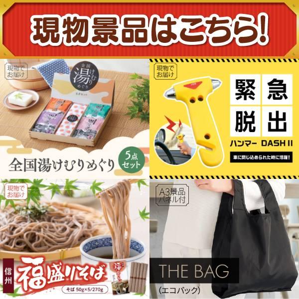 ゴルフコンペ景品10点セット【旬の有機野菜1年分(毎月1回×12）/エアフライヤー「フライ２バディ」 等】豪華A3パネル・目録・特典付き！送料無料の画像