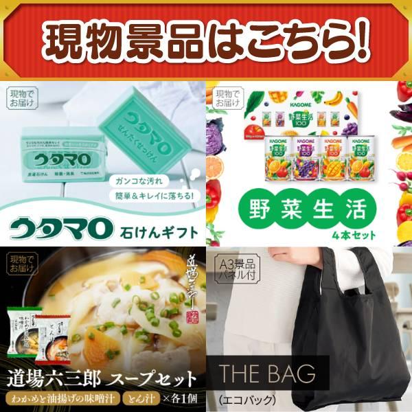 ゴルフコンペ景品10点セット【4K対応液晶テレビ43インチ/豪華ヘリコプタークルージングチケット 等】豪華A3パネル・目録・特典付き！送料無料の画像