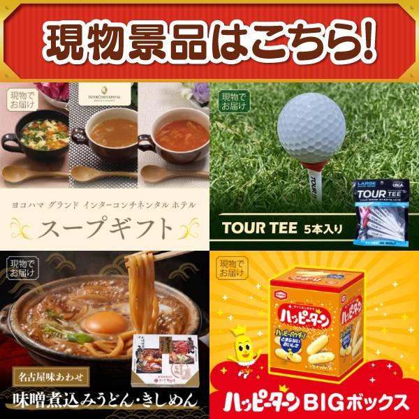 ゴルフコンペ景品10点セット【PlayStation 5/選べる一品景品【松阪牛】 等】豪華A3パネル・目録・特典付き！送料無料の画像