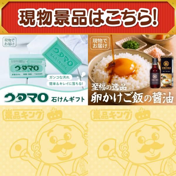 ゴルフコンペ景品9点セット【PlayStation 5/パワーハンディークリーナー 等】豪華A3パネル・目録・特典付き！送料無料の画像