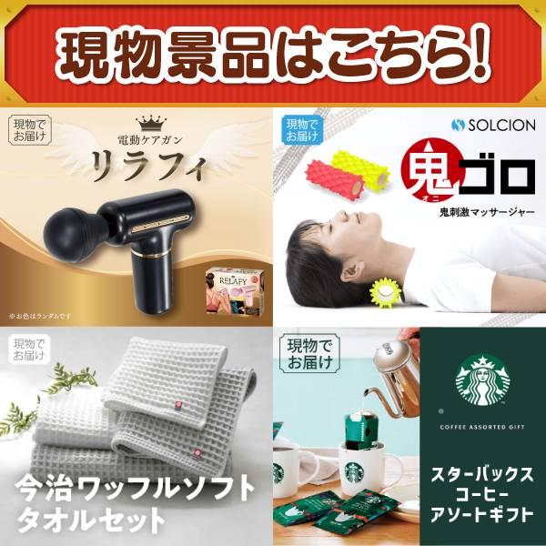 ゴルフコンペ景品10点セット【豪華ヘリコプタークルージングチケット/BALMUDA The Plate 等】豪華A3パネル・目録・特典付き！送料無料の画像