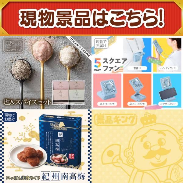 ゴルフコンペ景品10点セット【豪華ヘリコプタークルージングチケット/BALMUDA The Plate 等】豪華A3パネル・目録・特典付き！送料無料の画像