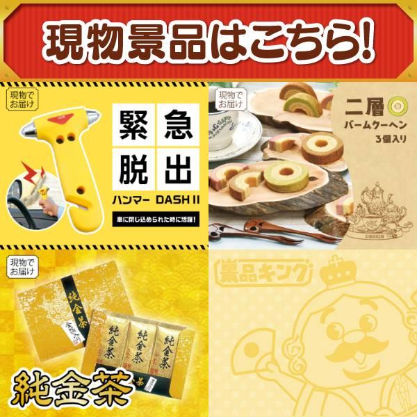 ゴルフコンペ景品10点セット【PlayStation 5/ディズニーファミリーチケット（大人2枚  小人2枚) 等】豪華A3パネル・目録・特典付き！送料無料の画像