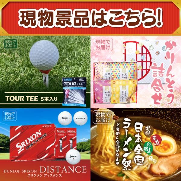 ゴルフコンペ景品15点セット【Nintendo Switch 2/アテックス ひざカツマッサージャー 等】豪華A3パネル・目録・特典付き！送料無料の画像