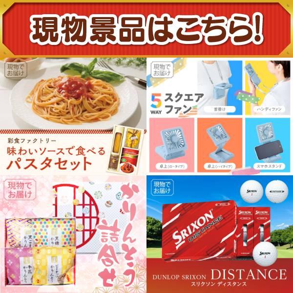 ゴルフコンペ景品15点セット【Nintendo Switch 2/2WAYリュック防災セット 等】豪華A3パネル・目録・特典付き！送料無料の画像