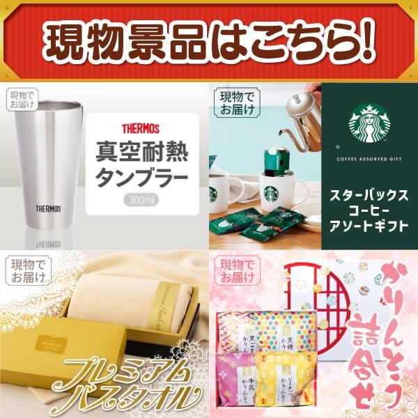 ゴルフコンペ景品15点セット【Apple Watch　SE/選べる！全国温泉旅行ペア宿泊券 等】豪華A3パネル・目録・特典付き！送料無料の画像