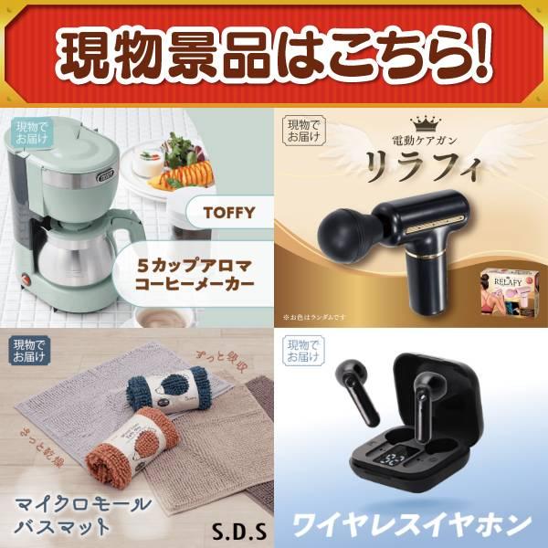 ゴルフコンペ景品15点セット【BAKUNE Dry Men's / Women's/KARCHERスチームクリーナー 等】豪華A3パネル・目録・特典付き！送料無料の画像