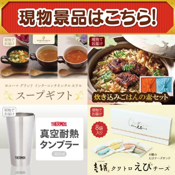 ゴルフコンペ景品15点セット【BAKUNE Dry Men's / Women's/KARCHERスチームクリーナー 等】豪華A3パネル・目録・特典付き！送料無料の画像