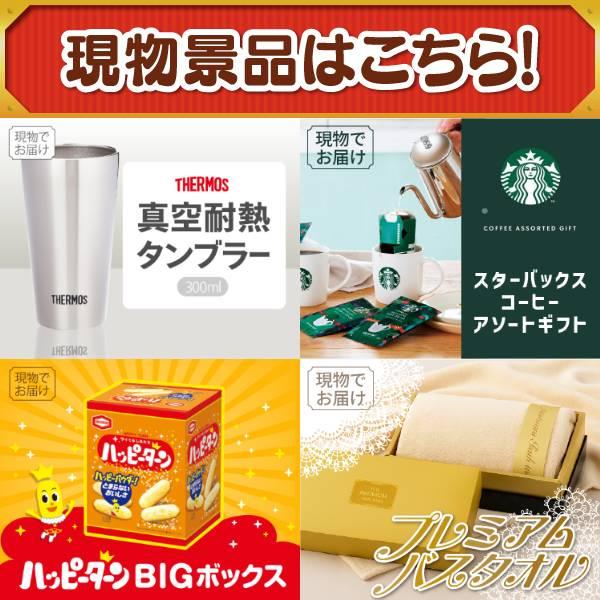 ゴルフコンペ景品15点セット【豪華ヘリコプタークルージングチケット/BISARA Light ハンズフリードライヤー 等】豪華A3パネル・目録・特典付き！送料無料の画像