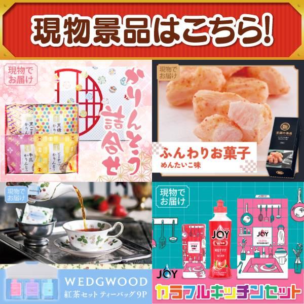 ゴルフコンペ景品15点セット【豪華ヘリコプタークルージングチケット/BISARA Light ハンズフリードライヤー 等】豪華A3パネル・目録・特典付き！送料無料の画像