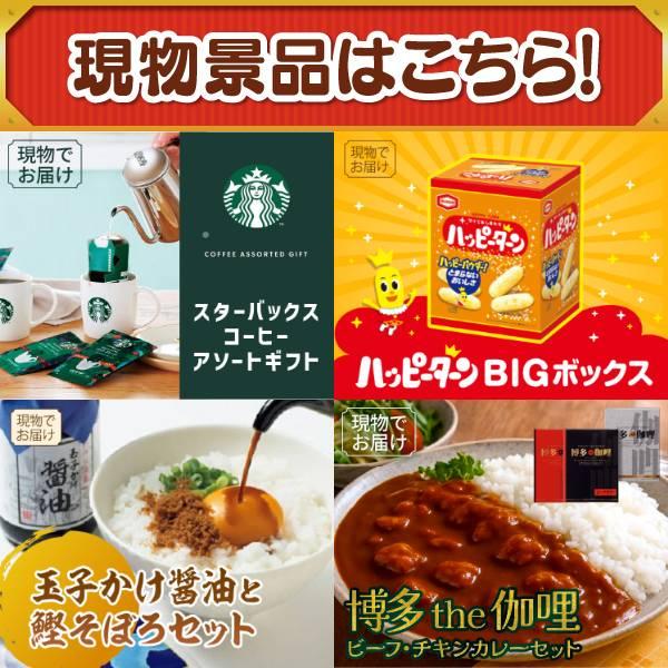 ゴルフコンペ景品19点セット【飛騨牛サーロインステーキ/サーキュレーターアイ DC JET 等】豪華A3パネル・目録・特典付き！送料無料の画像