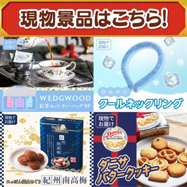 ゴルフコンペ景品20点セット【4K対応液晶テレビ43インチ/BALMUDA オーブントースター 等】豪華A3パネル・目録・特典付き！送料無料の画像