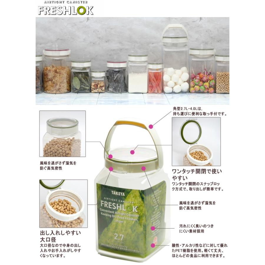 保存容器 フレッシュロック 角300ml【 タケヤ化学 】[プラスチック製