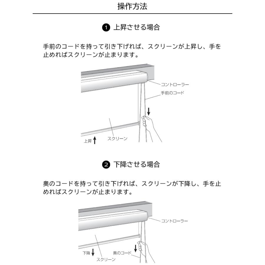 カバー付きロールスクリーン エクシヴ遮光 165cm×220cm ブラインド