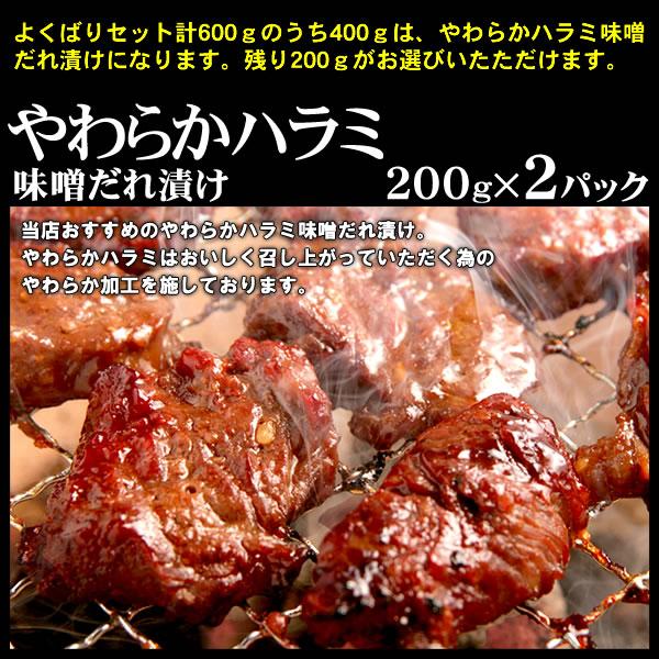 肉 焼肉 焼き肉 バーベキュー BBQ に 情熱ホルモン よくばりセット 計600g ハラミ ジューシーカルビ マルチョウ テッチャン他 バーベキュー 焼肉 焼き｜yhjonetsu｜08