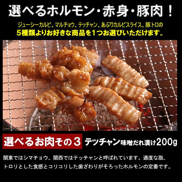 肉 焼肉 焼き肉 バーベキュー BBQ に 情熱ホルモン よくばりセット 計600g ハラミ ジューシーカルビ マルチョウ テッチャン他 バーベキュー 焼肉 焼き｜yhjonetsu｜11