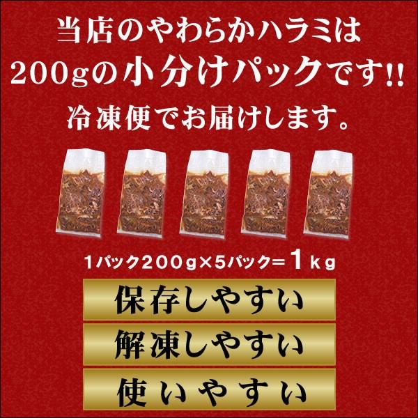 ハラミ 1kg 焼肉 肉 牛肉 焼き肉 焼肉セット バーベキュー BBQ やわらか 牛ハラミ 味噌だれ漬け メガ盛りセット バーベキューセット 食品 爆買 | 情熱ホルモン | 02