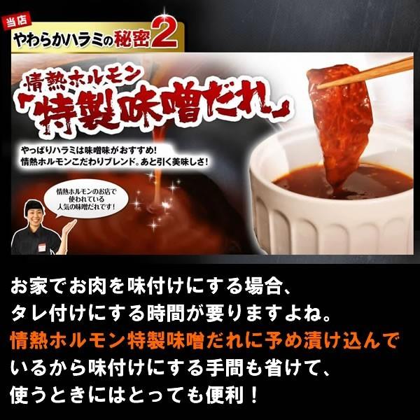 ハラミ 1kg 焼肉 肉 牛肉 焼き肉 焼肉セット バーベキュー BBQ やわらか 牛ハラミ 味噌だれ漬け メガ盛りセット バーベキューセット 食品 爆買 | 情熱ホルモン | 05